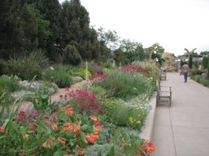 Waterwise strip of plantings at the Denver Botanic Gardens.