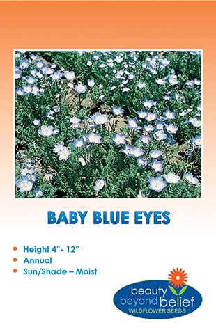 Baby Blue Eyes Wildflower Seeds