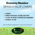 economy meadow grass and wildflower