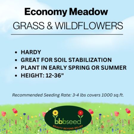 economy meadow grass and wildflower