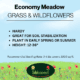 economy meadow grass and wildflower