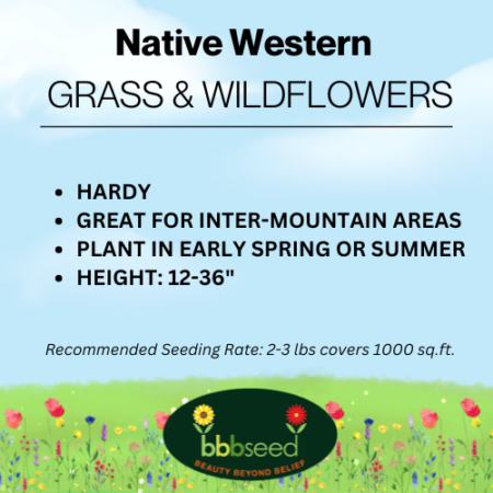 Native Western Grass and Wildflowers Mix