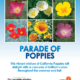The label on a package of Parade of Poppies Flower mix.