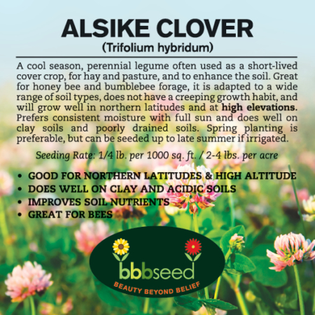 Label for a bag of Alsike Clover seed.
