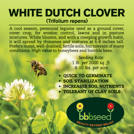 Label on a bag of White Dutch Clover seed.