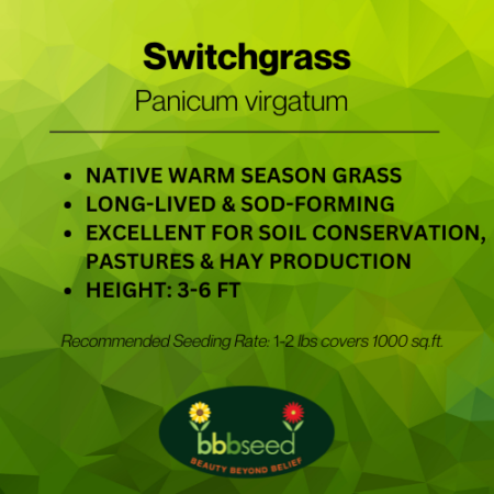 switchgrass label