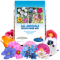 All Annuals Mix