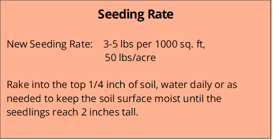 All Blue Blend Seeding Rate