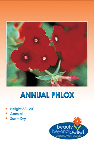 Annual Phlox Wildflower Seeds