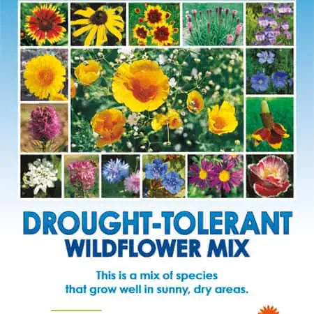 Drought-tolerant wildflower mix with vibrant yellow, purple, and pink flowers for sunny, dry areas.