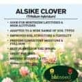Alsike Clover, a versatile forage plant for northern regions and high altitudes.