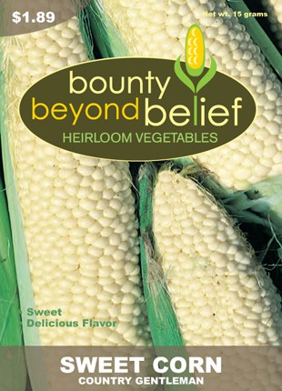 Details about   COUNTRY GENTLEMEN CORN1 OZ Heirloom Vegetable Seeds Sweet Shoepeg