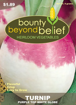 Purple Top Turnip Heirloom Vegetable Seeds