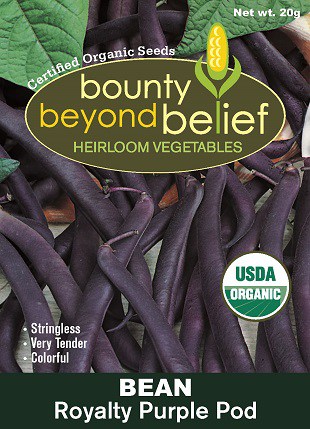 Packet of Royalty Purple Bean seeds.