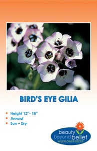 Bird's Eye Gilia packet.