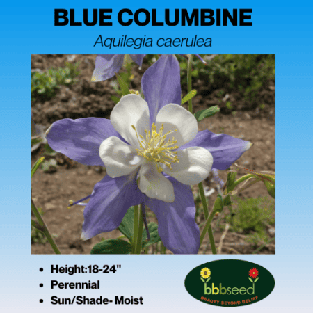 Image of blue columbine tag