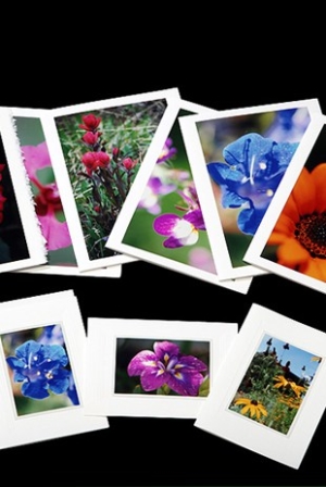Wildflower Photo Greeting Cards