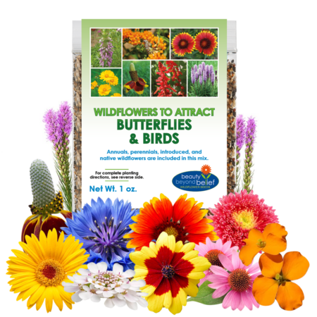 Butterfly & Birds Mix