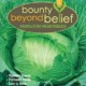 Flat Dutch cabbage seed package.