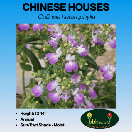 Image of chinese houses flower label