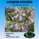 Image of chinese houses flower label