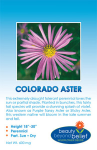 The label for the Colorado Tansy Aster seed packet. Native plants.