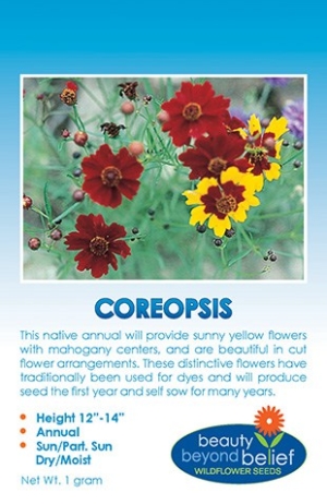 coreopsis