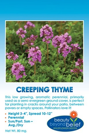 Packet of Creeping Thyme seeds.