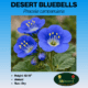 desert bluebell tag