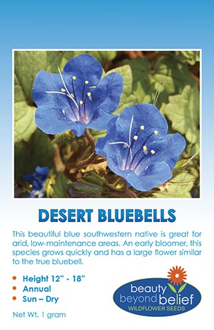 Desert Bluebells Wildflower Seeds