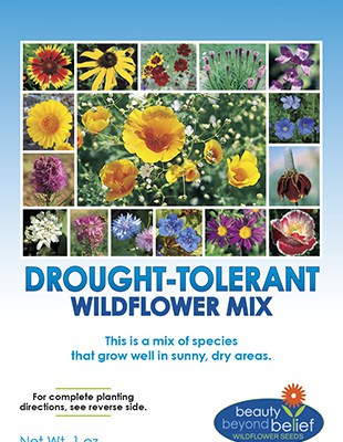Tag for Drought-Tolerant Wildflower Mix packet.