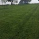 Dura Turf Grass Mix