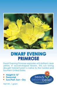 Tag for Dwarf Evening Primrose packet