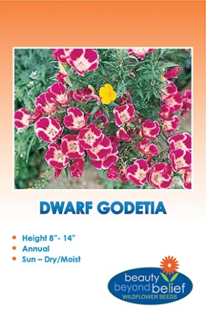 Dwarf Godetia Wildflower Seeds