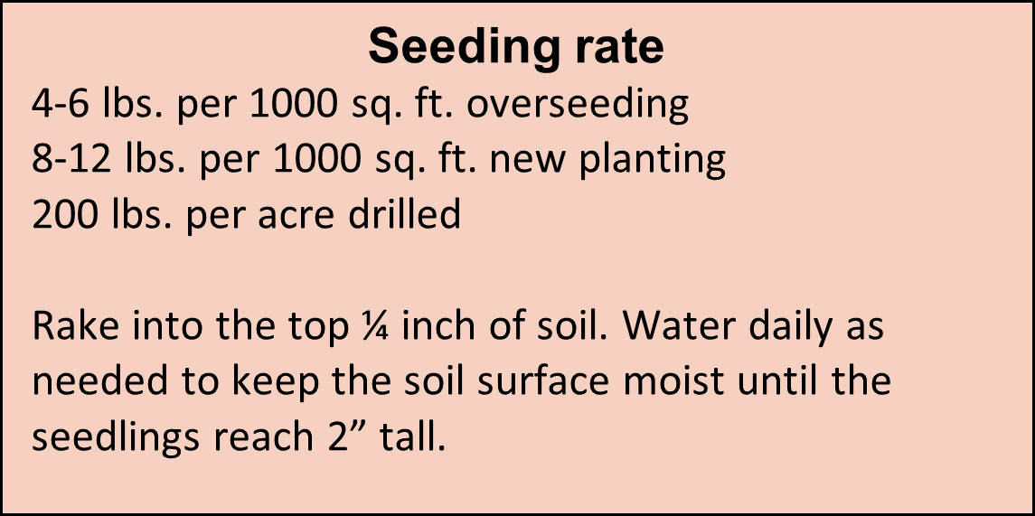 Seeding rates for Emerald Tall Fescue seed mix.