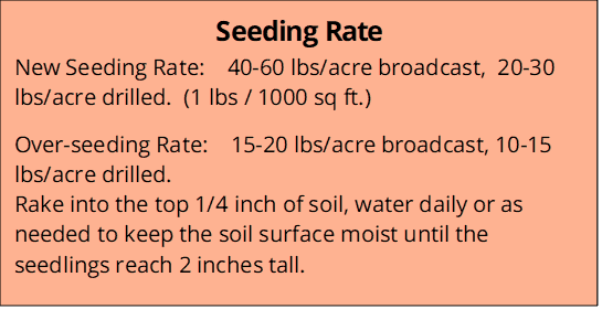 Foothills Seeding Rate
