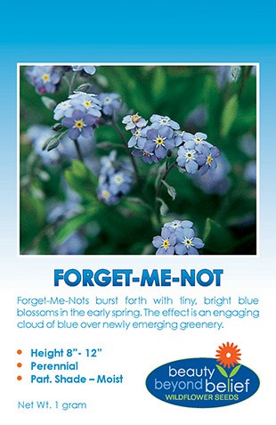 Compact ALPINE BLUE FORGET ME NOT Hardy Perennial Myosotis Alpestris 20 Seeds 