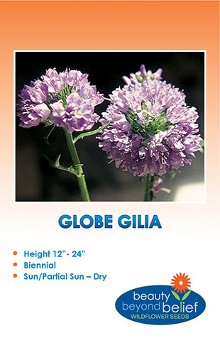 Globe Gilia