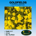 goldfields tag