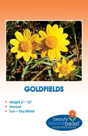 Goldfields Wildflower Seeds