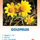 Goldfields Wildflower Seeds