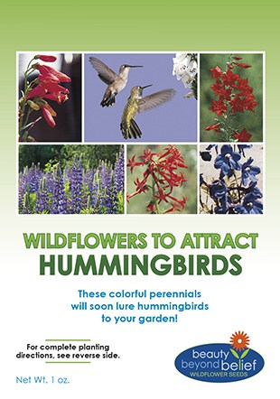 Hummingbird Wildflower Mix