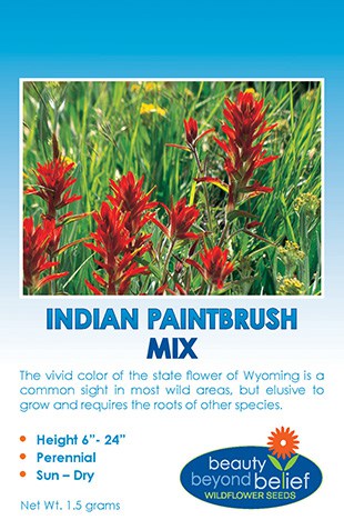 Indian Paintbrush Mix Wildflower Seeds