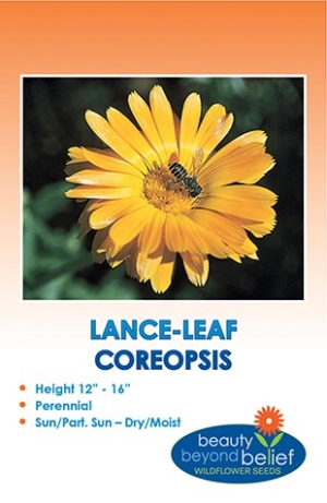 Lance-Leaf Coreopsis Wildflower Seeds