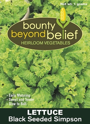 A packet of Black Seeded Simpson lettuce seeds.