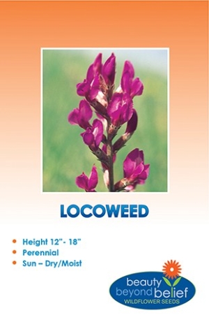 Purple Locoweed Wildflower Seeds