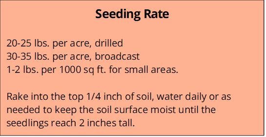 Low Grow Seeding Rate