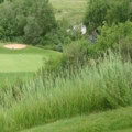 Close-up of low-growing grass mixture on a golf course fairway.