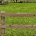 Low grow grass mixture for durable, lush lawns. Perfect for low-maintenance, high-traffic areas with.