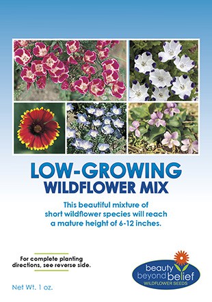 Low Growing Wildflower Seed Mix